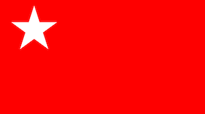 Flag of PDF.